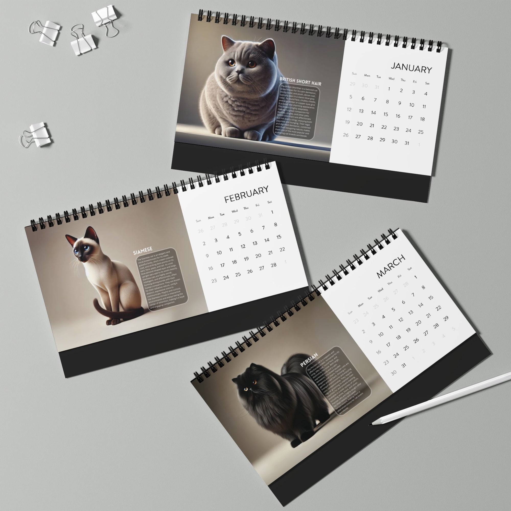 Purrfect Desktop Calendar (2025 grid)