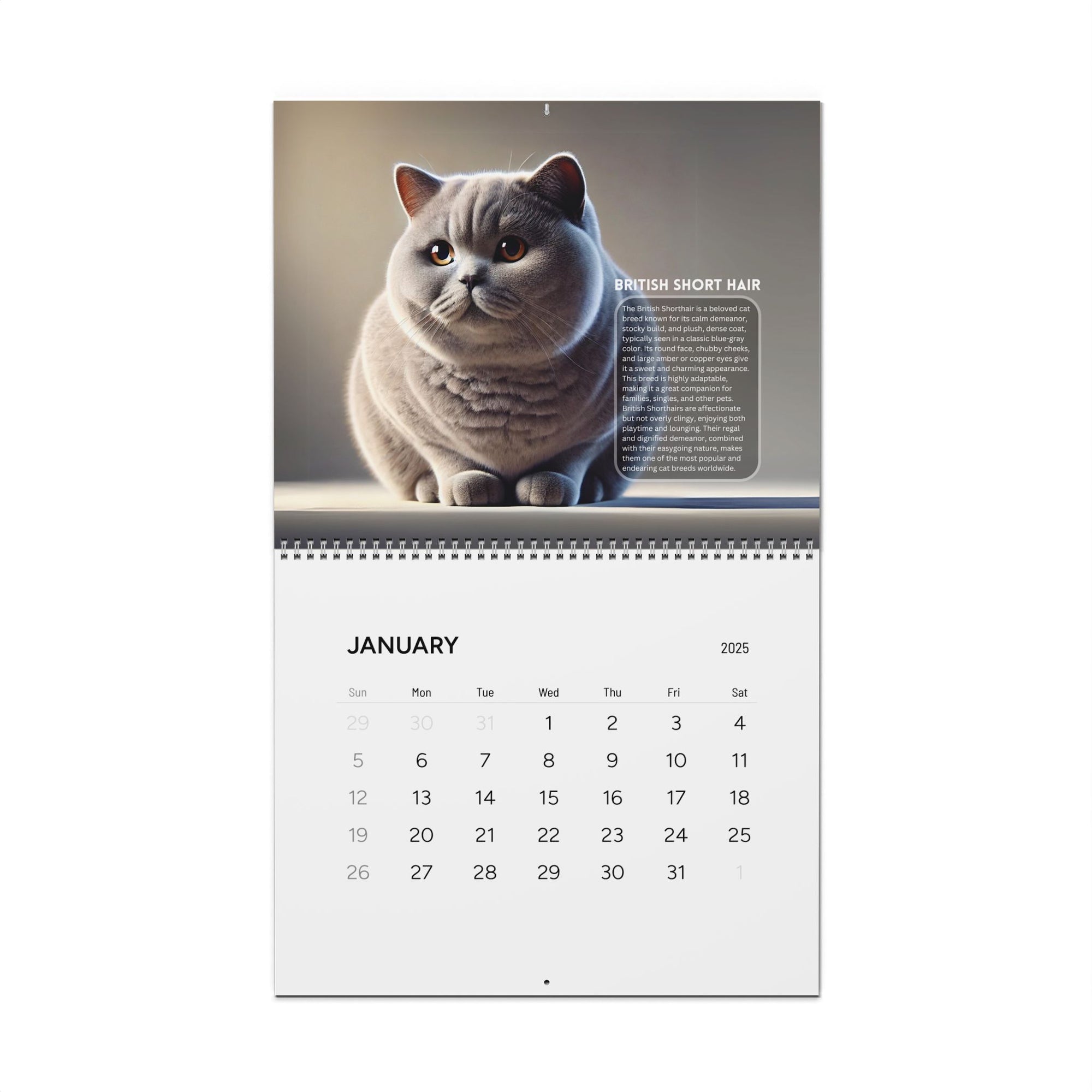 Purrfect Wall Calendars (2025)