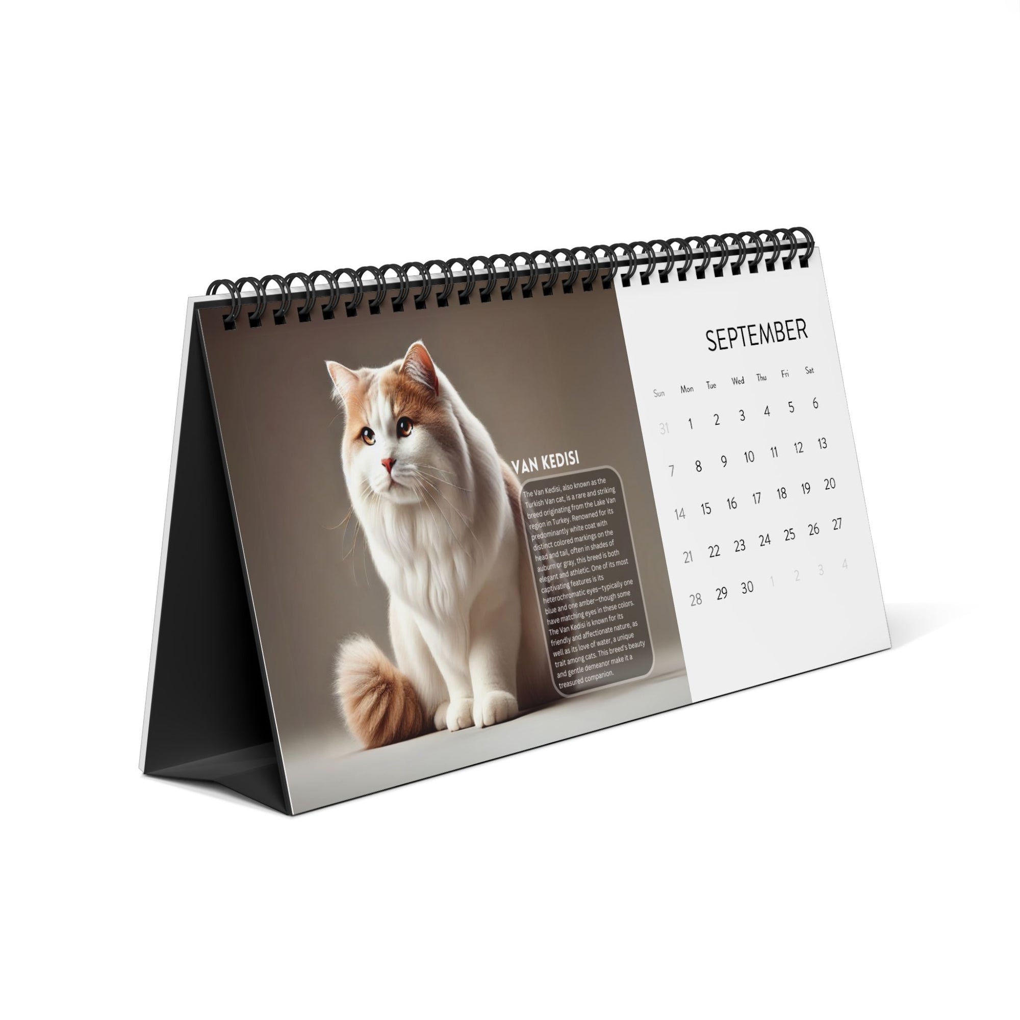 Purrfect Desktop Calendar (2025 grid)