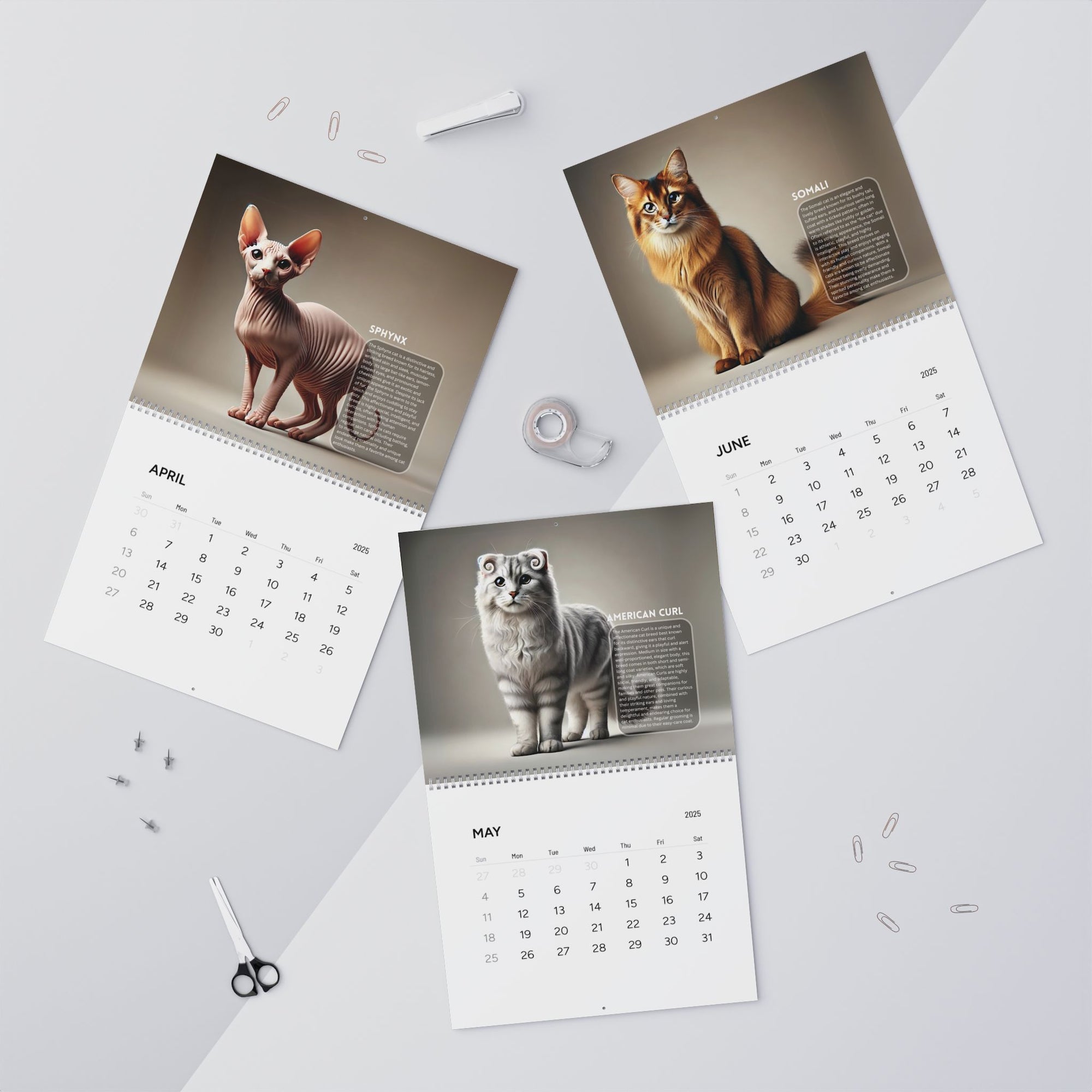 Purrfect Wall Calendars (2025)