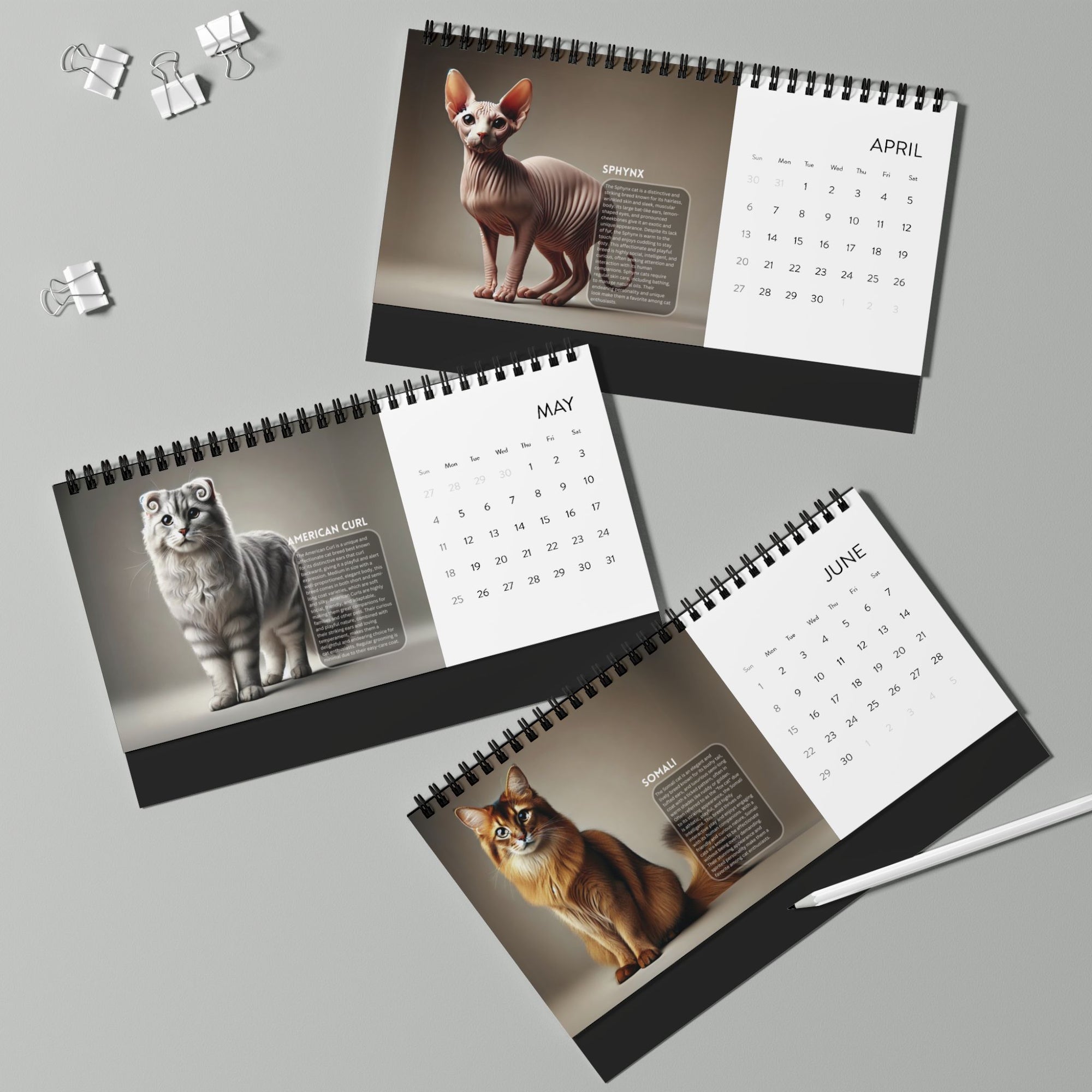 Purrfect Desktop Calendar (2025 grid)