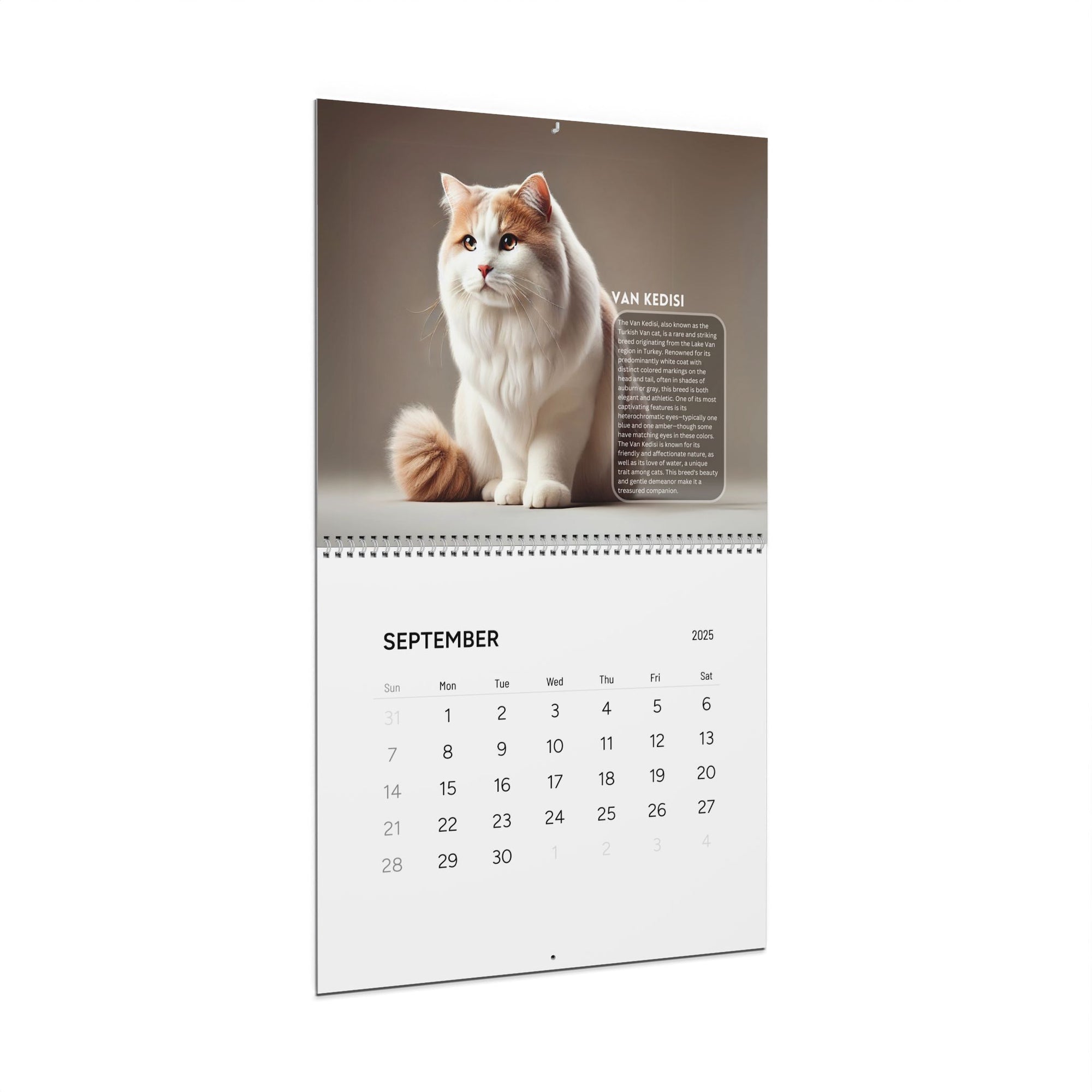 Purrfect Wall Calendars (2025)